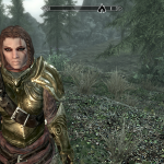 Shenner in the Elven Hunter Armor