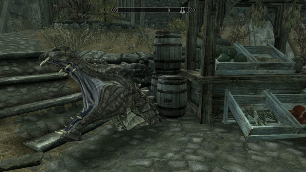 Dead Dragon Head in Whiterun