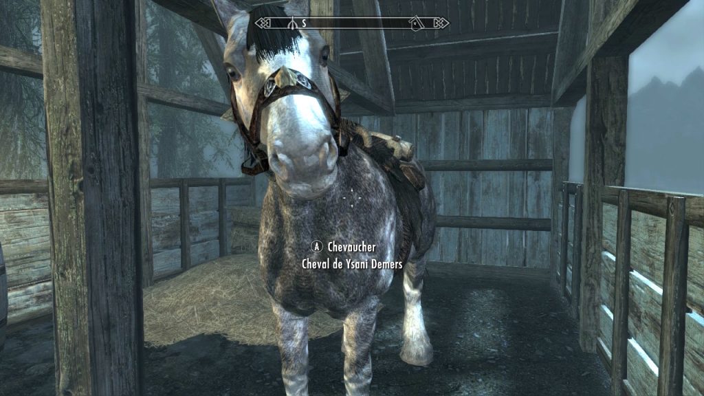 What a Good Horse