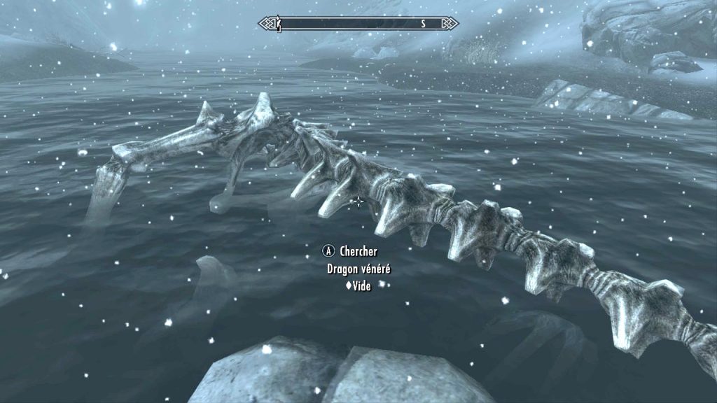 Dragon Bones in the Water