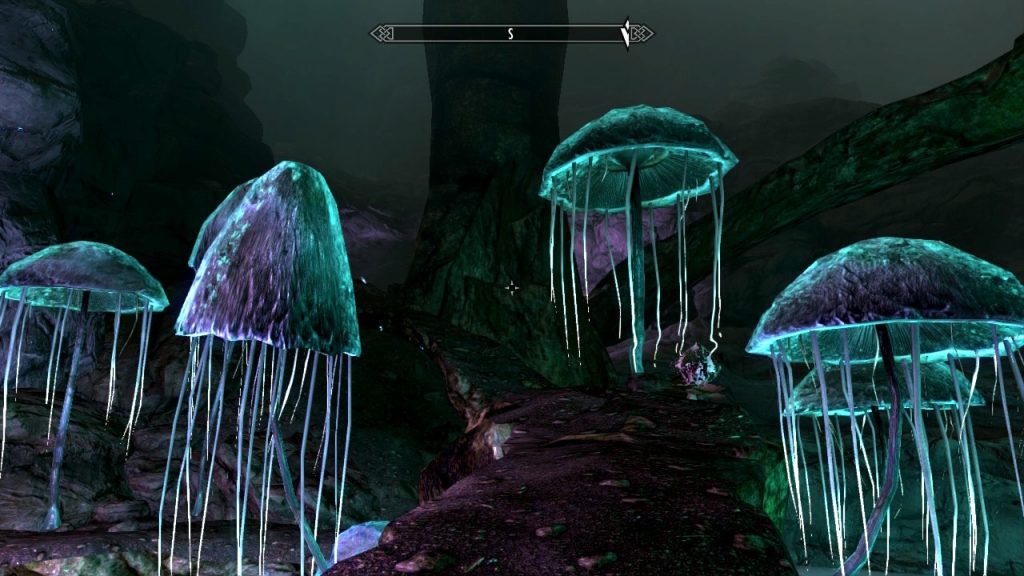 Mushrooms of Darkfall Passage