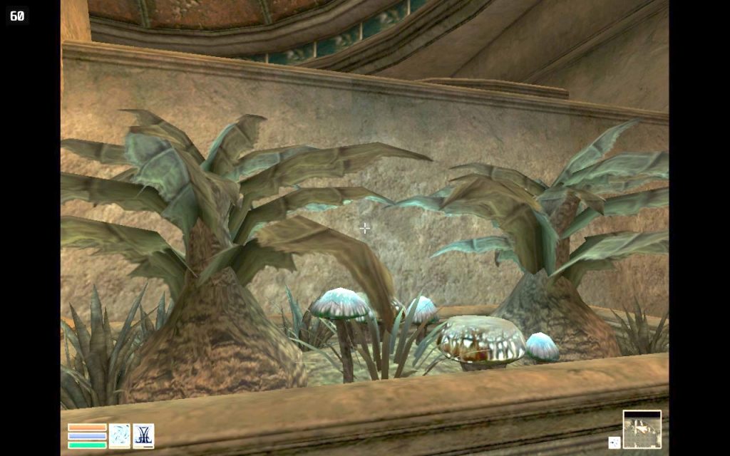 Decorative Plants and Mushrooms in Vivec 1