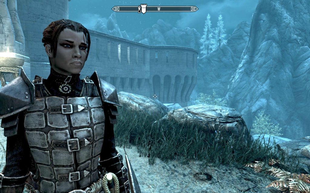 Shenner in Dawnguard Armor Without Helmet 1