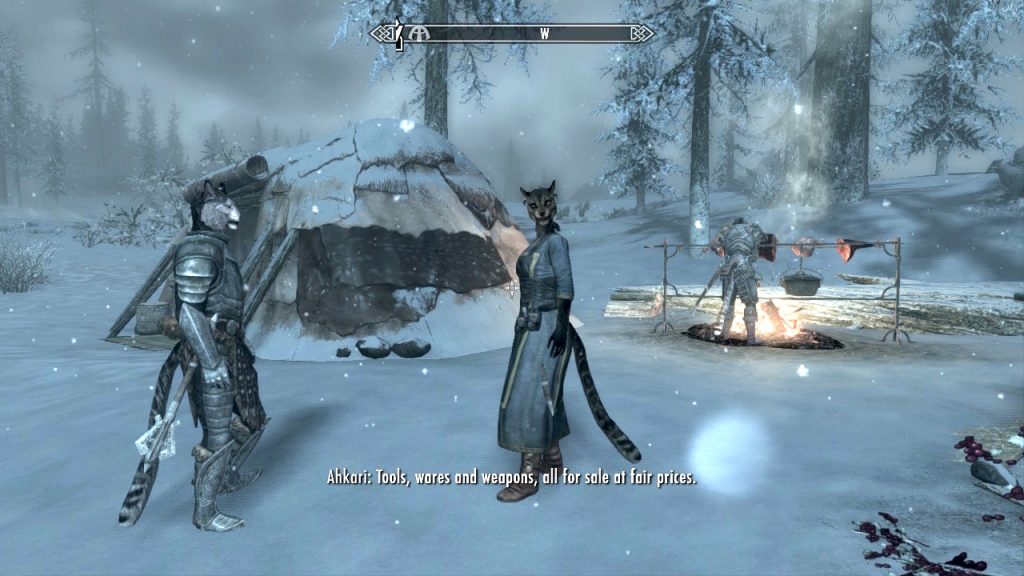 Khajiit Camp at Dawnstar