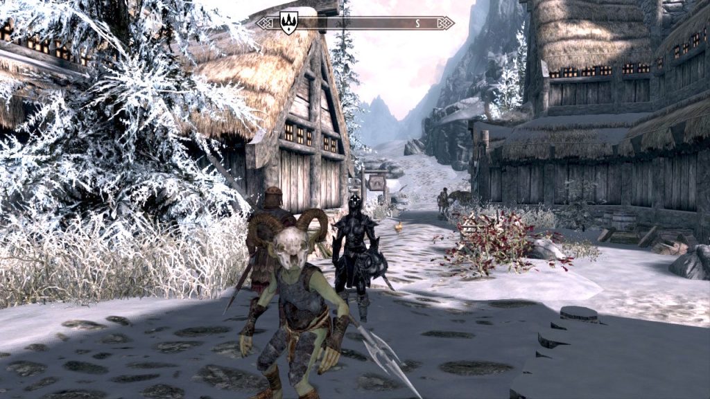 Team Dragonborn in Winterhold