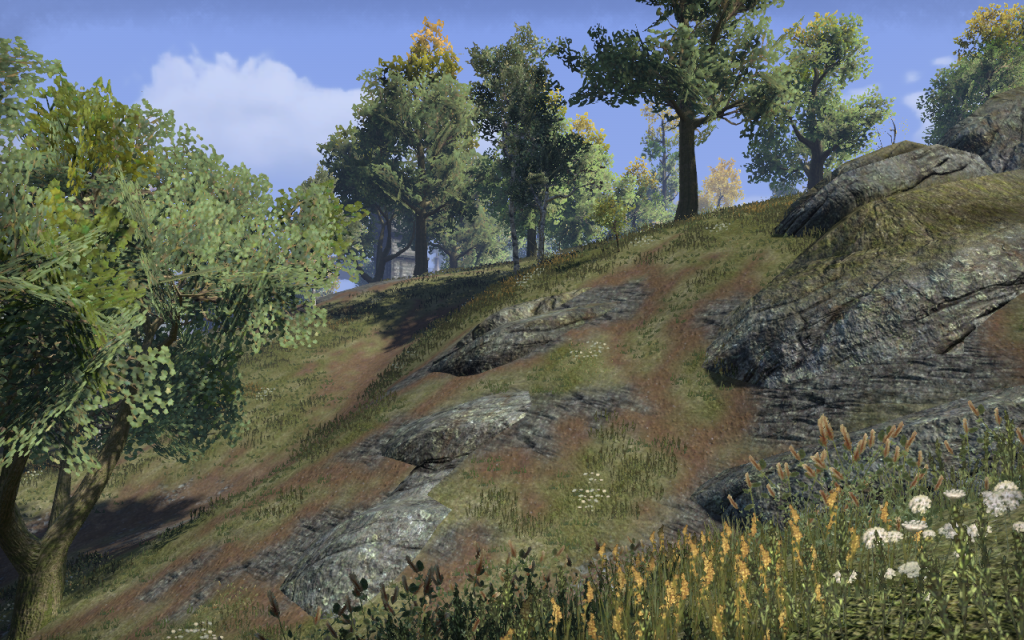 Cyrodiil Scenery 1