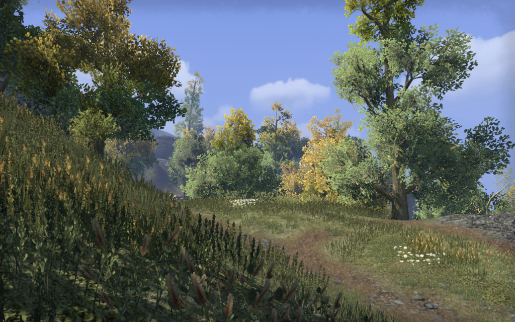 Cyrodiil Scenery 2