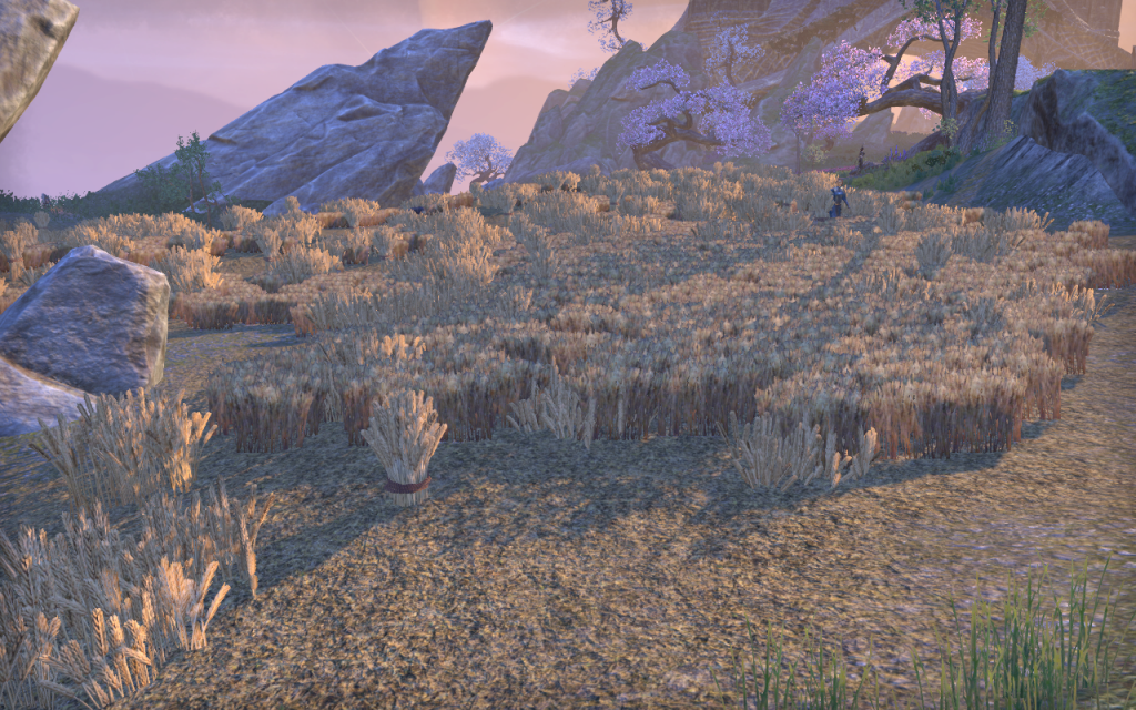 Wheat Field on Artaeum