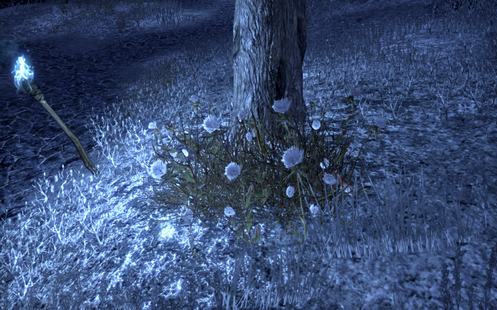 Coldharbour Flowers