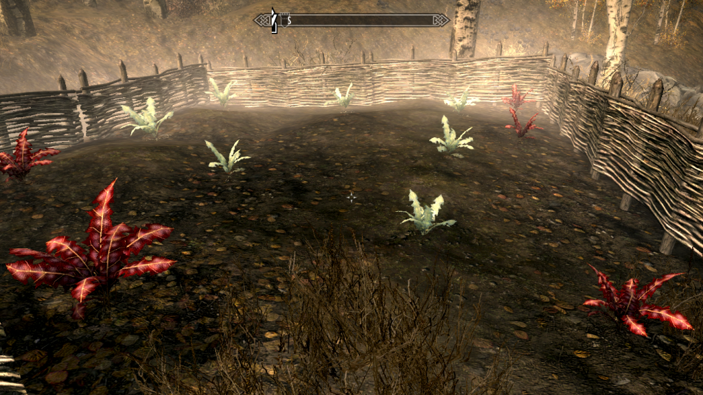 Crimson Nirnroot Crop