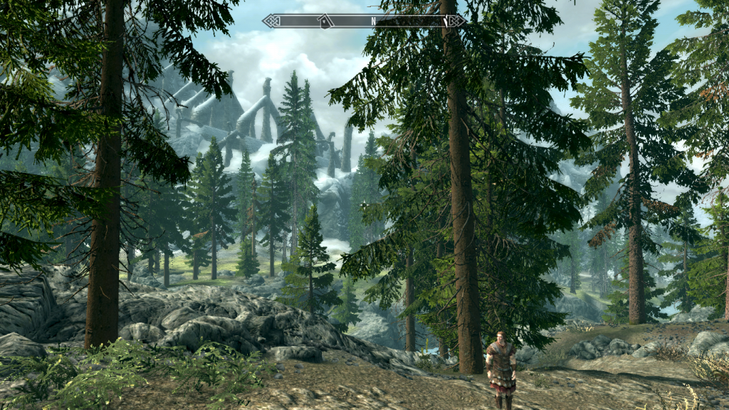 View of Bleak Falls Barrow