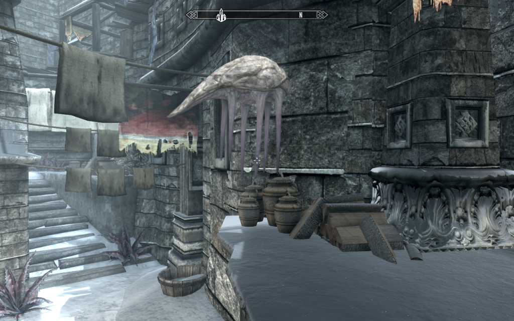 Windhelm 5