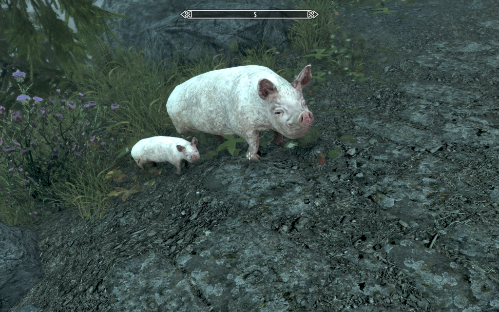 Pig and Baby Pig