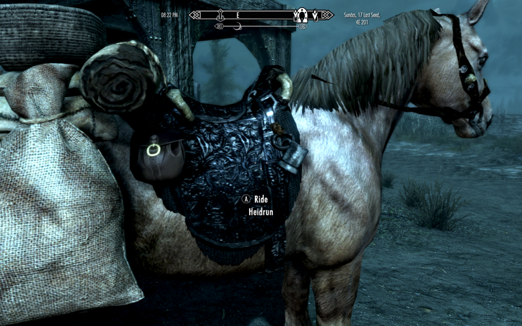 A Nice Sturdy Horse