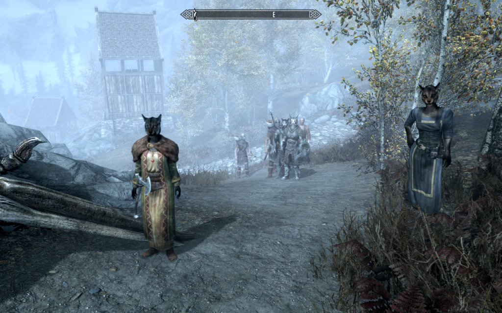 Gawking Khajiit at Riften