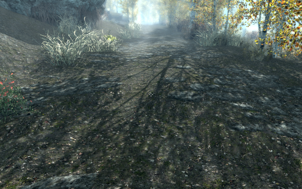 Pretty Shadowed Road 1