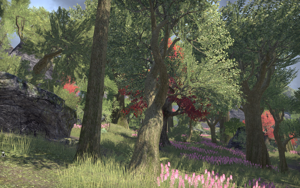 Auridon Scenery 2