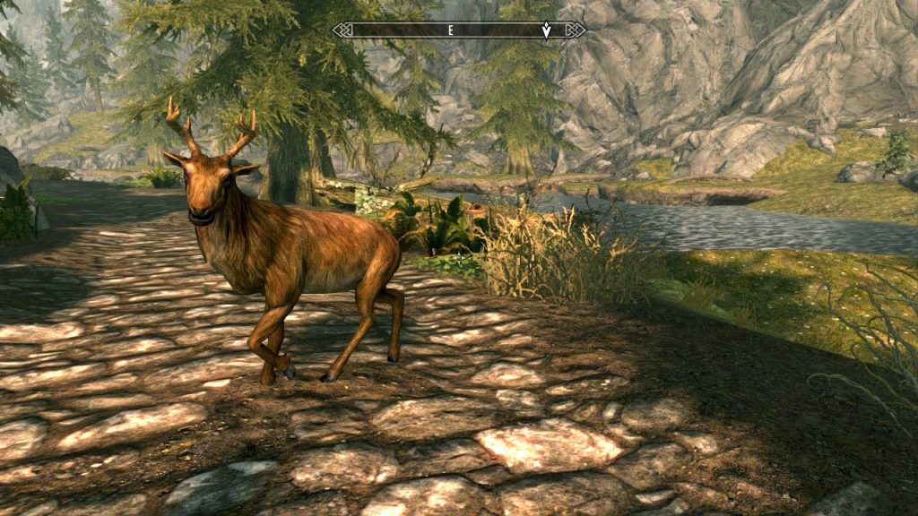 Deer Near Riverwood