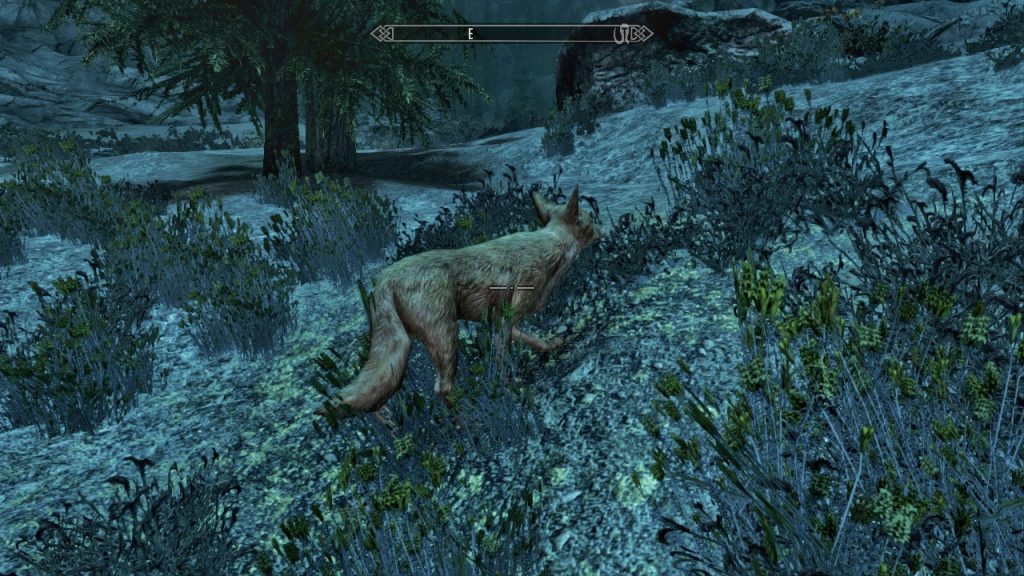 Fox in Eastmarch