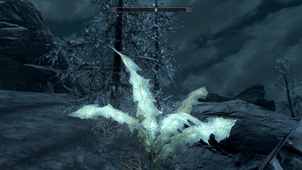 Giant Nirnroot 1