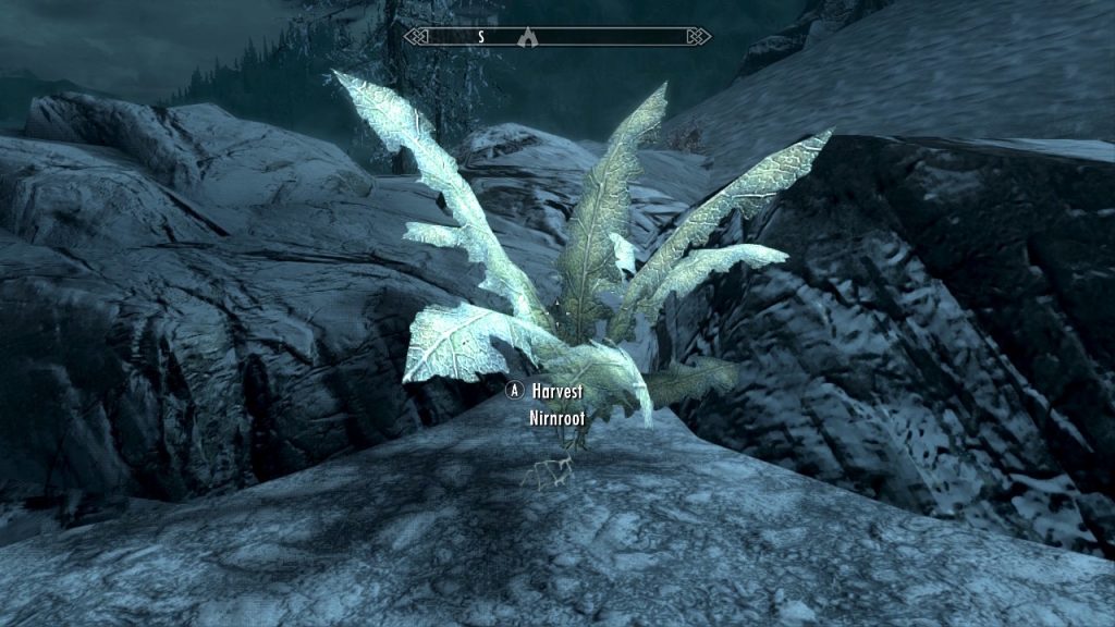 Giant Nirnroot 3