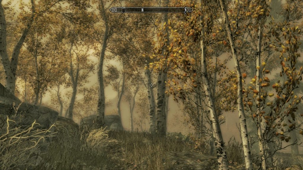 Trees Near Riften