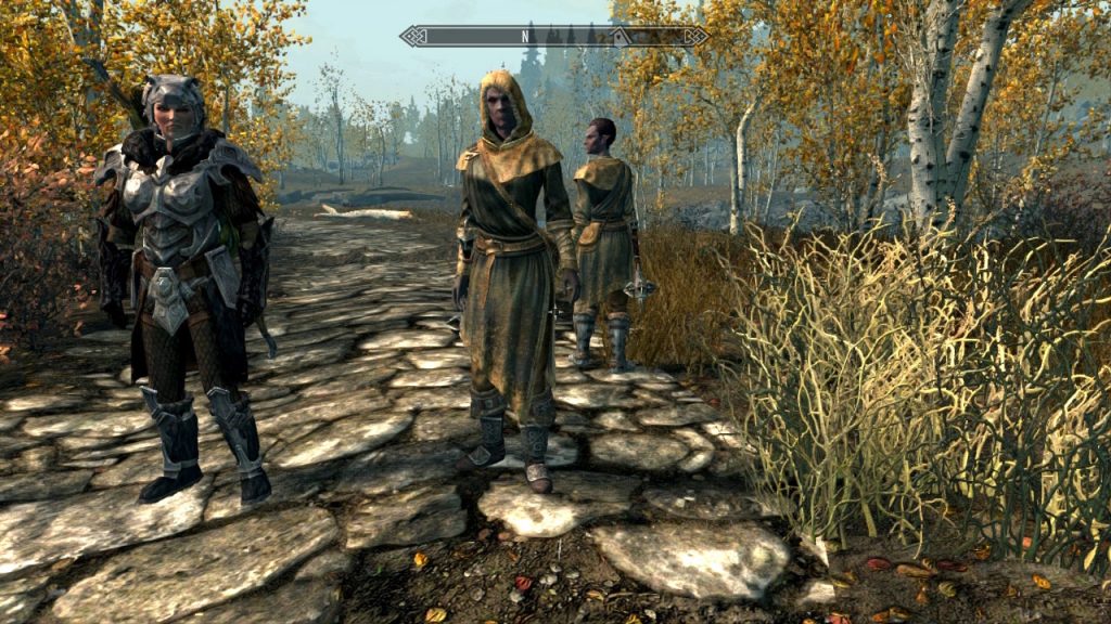 Vigilants of Stendarr Being Useful