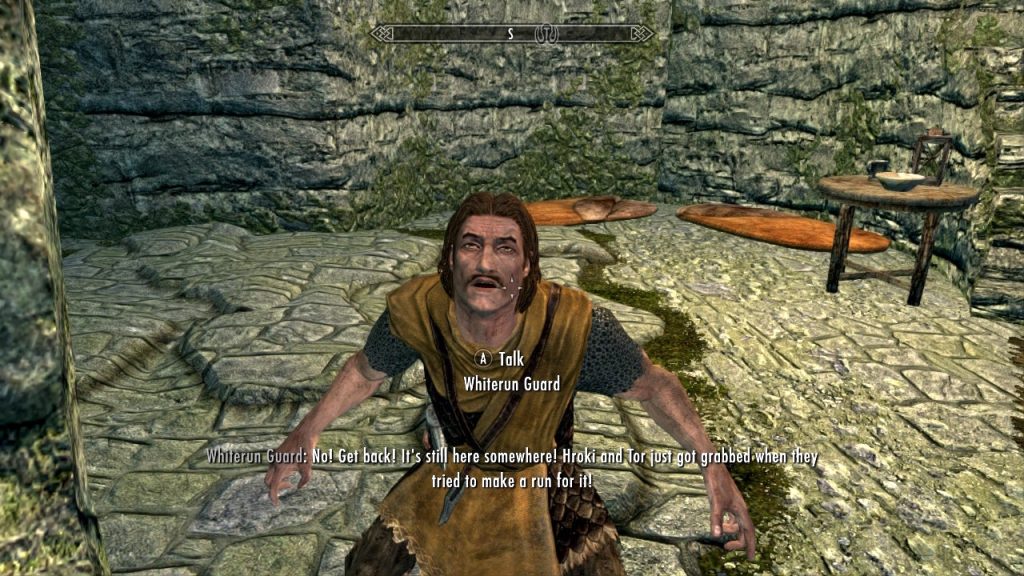 Whiterun Guard in Dragon Attack