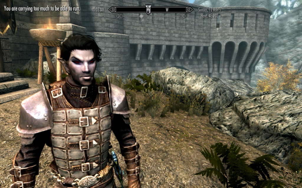 Elessir in Heavy Dawnguard Armor