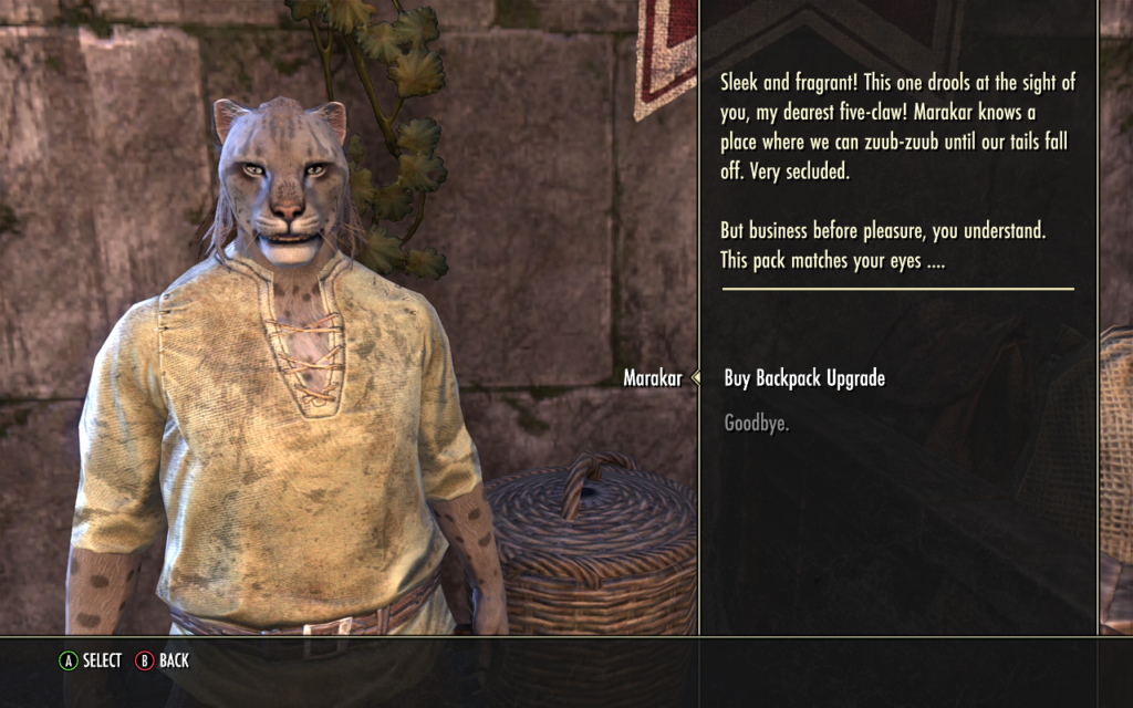 This Khajiit, On the Other Hand...