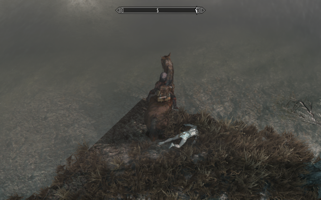 Weird Clipping Near Morthal