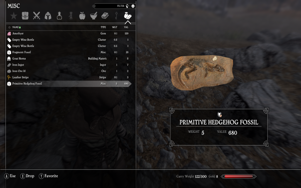 Primitive Hedgehog Fossil