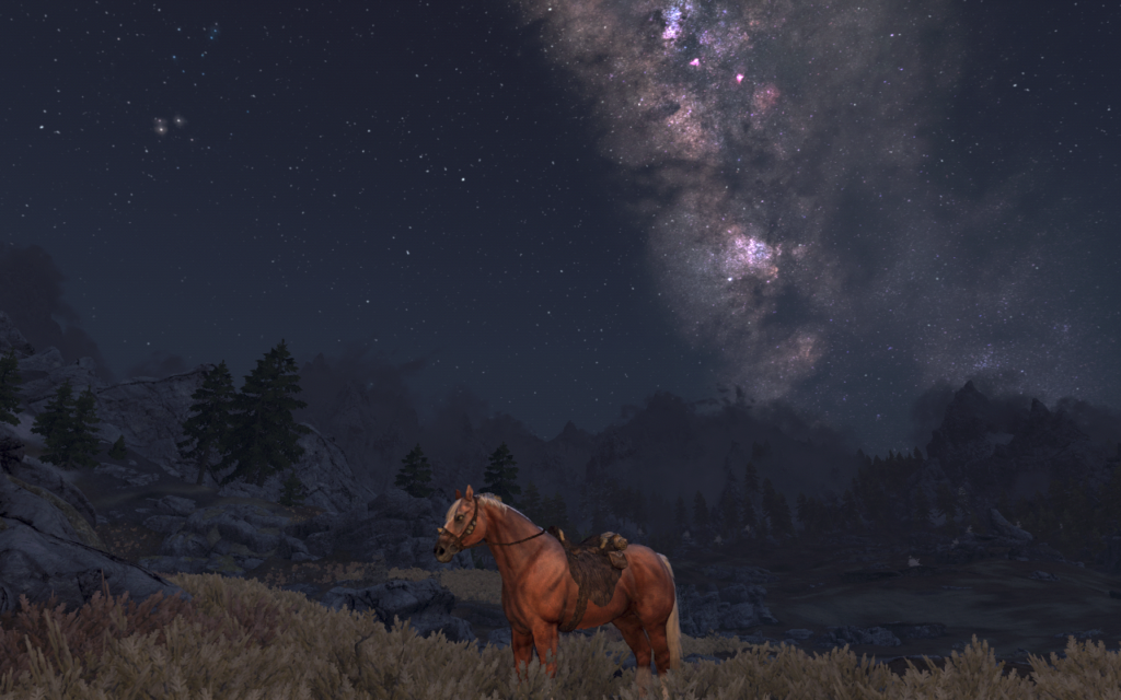 Horse Under the Stars