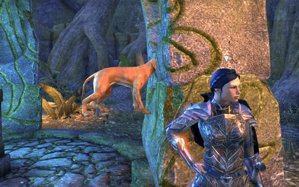 Isobel and My Doofus Dog