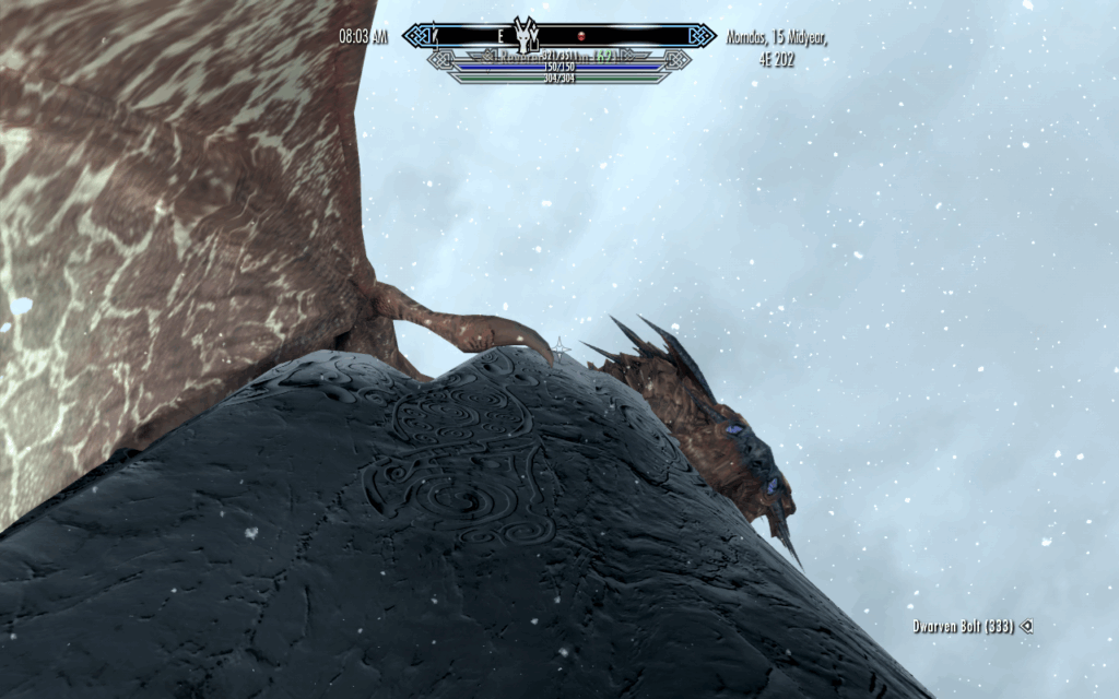 Up Close Dragon at Shearpoint