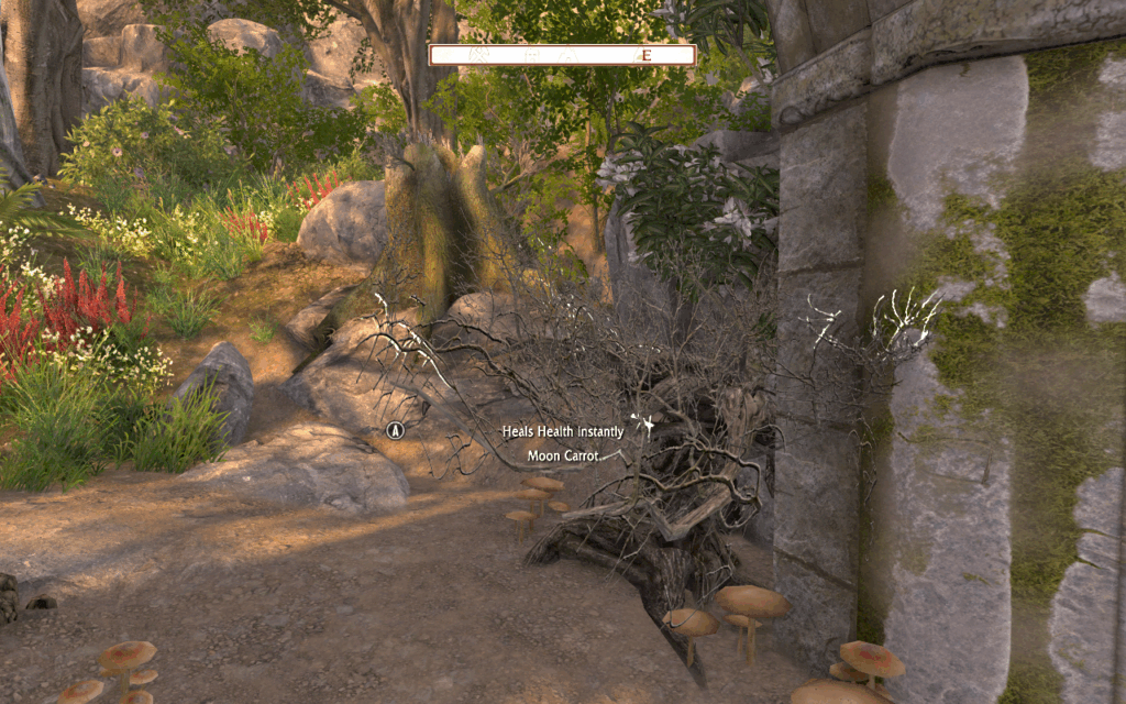 Om Nom Nom Moon Carrots