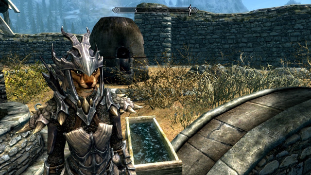 Faanshi in Dragonscale Armor