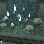 Decorative Plants and Mushrooms in Vivec 2