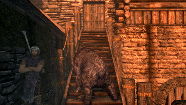 Dead Bear on the Steps