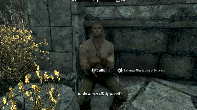 Yep, I Sure Did Take Out All Those Forsworn By Myself