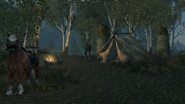 Peaceful Campsite