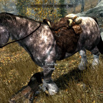 Dead Bandit's Horse
