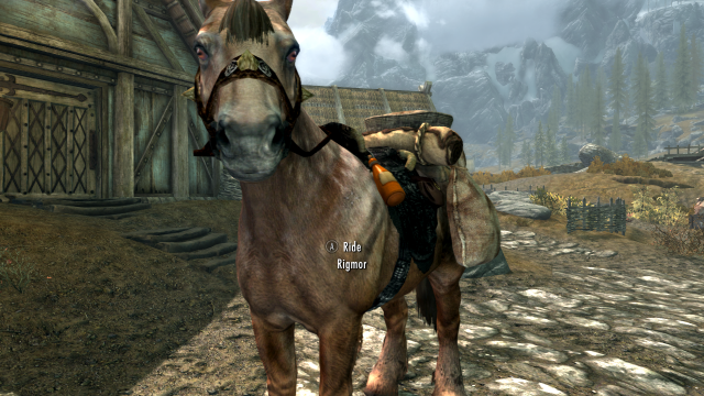This Playthrough's Horse