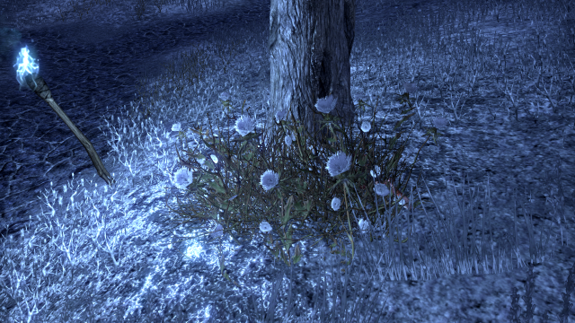 Coldharbour Flowers