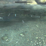 Fish in Stony Creek Cave 2