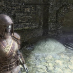 Merawen in Guild Armor