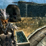 Faanshi in Dragonscale Armor