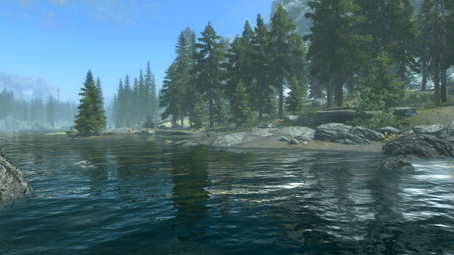 Fishing Scenery 1