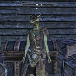 Sketchy As Fuck Argonian Number Two
