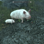 Pig and Baby Pig